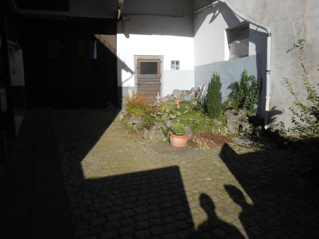 Landhaus Duengenheim エクステリア 写真